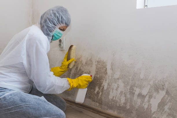 Asbestos and Lead Testing During Mold Inspection in Lodi, OH